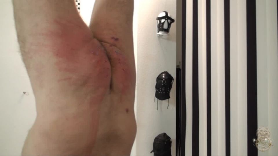 clip 8 Kates-palace - Das Fell über die Ohren gezogen Part 1-2 - cane - fetish porn primal fetish