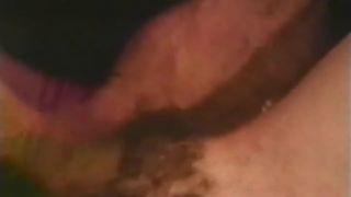 Collection Film 117: Room for Rent!!!