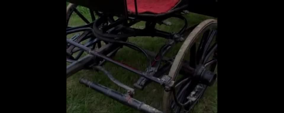 Vivian SchmittSex Im Freien