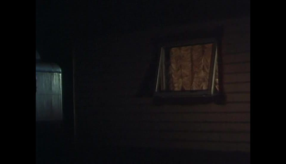 La Foire Aux Sexes [1973]