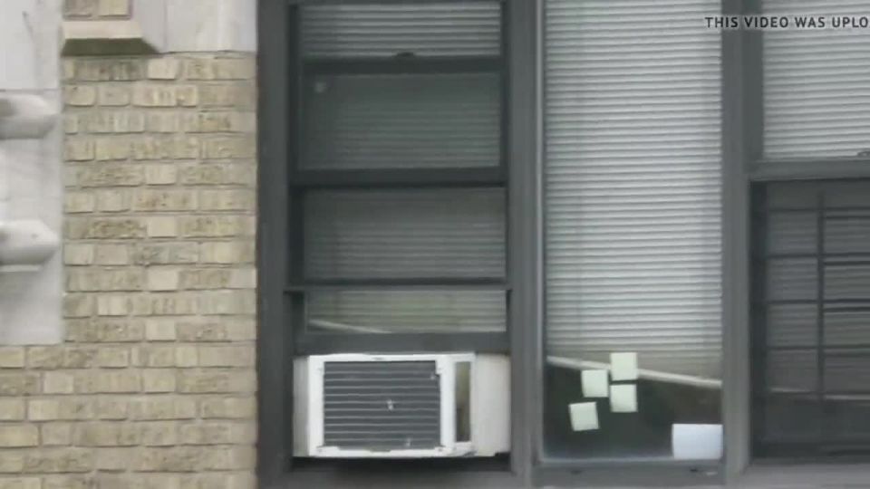 vecino-oops-olvida-sobre-curtains-lol_9895963_