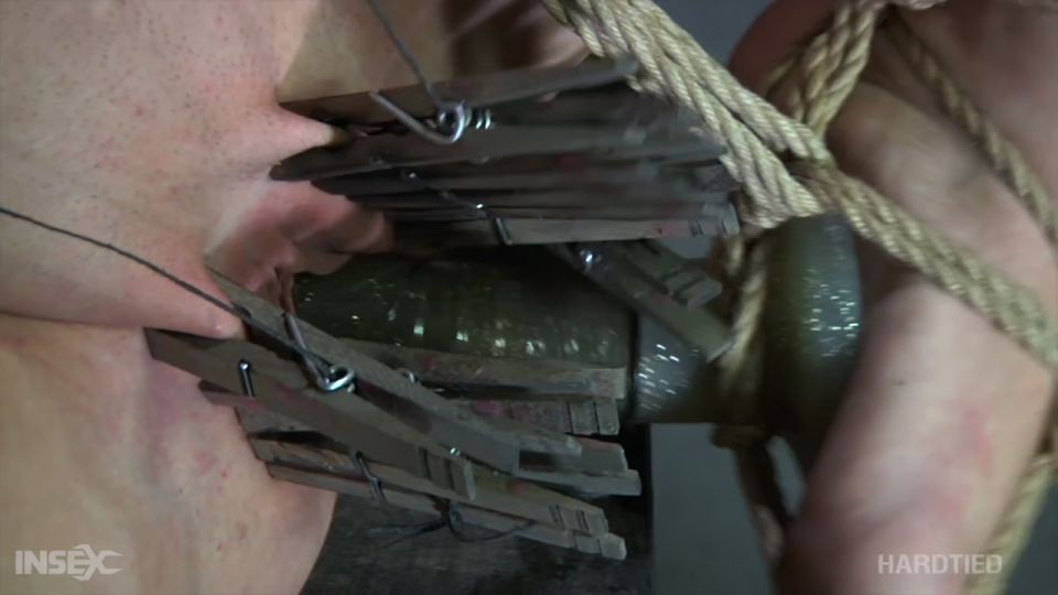 Cherry Picking - Jun 2020 - Cherry Torn - Quick View Porn...