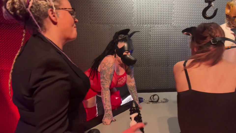 adult clip 43 Domina Dark - Pets on Stage Double Domme Session - 100% Authentic Session - FullHD 1080p, kigurumi fetish on femdom porn 