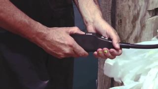 Citizens! – Let s Go All The Way