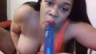 adult xxx video 10  / shemales / shemale porn