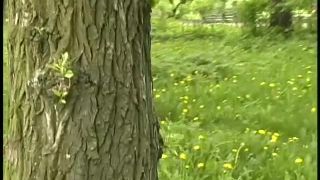 online video 49 TinaBlaze – SiteRip – K2s - hardcore - hardcore porn jav hardcore