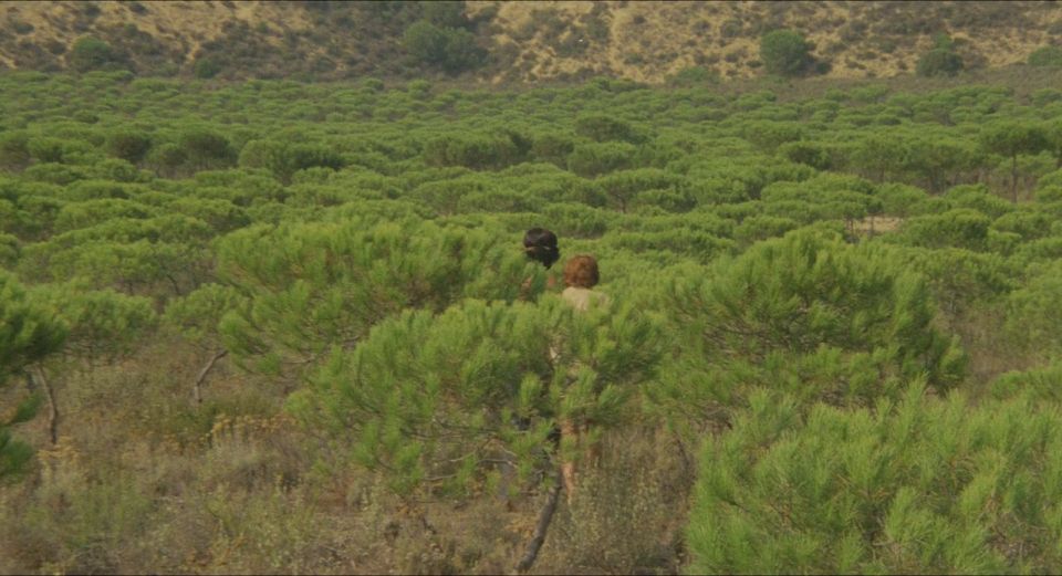 online video 15 vintage  erotic movies  