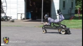 Casa de Gord14 05 02 Ashley Renee y el prototipo de Babetona (Escena)