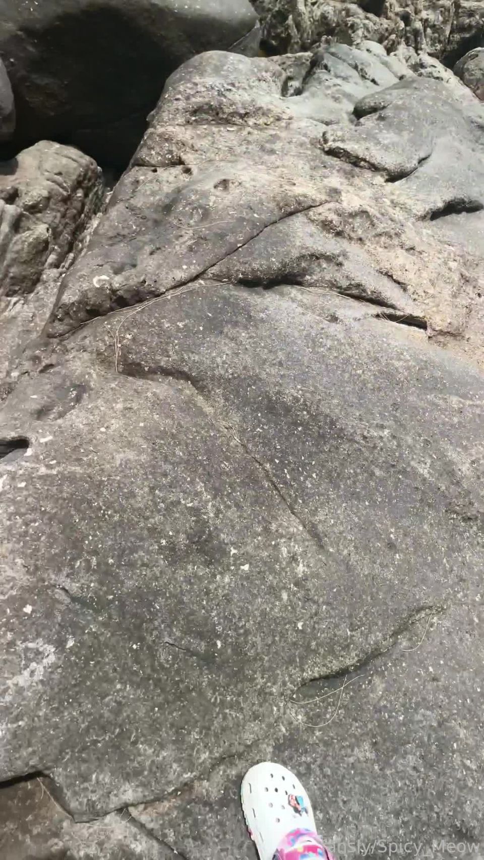 [GetFreeDays.com] Spicy_meow-019 shemale furry porn