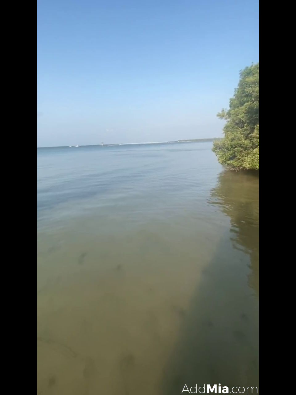 [GetFreeDays.com] Blowjob 00220 ai blowjob porn