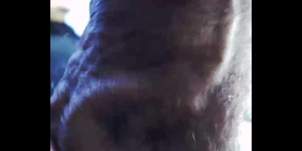 Shemale Webcams Video for April 29, 2019 – 30 - Shemale Videos, Webcam Webcam!