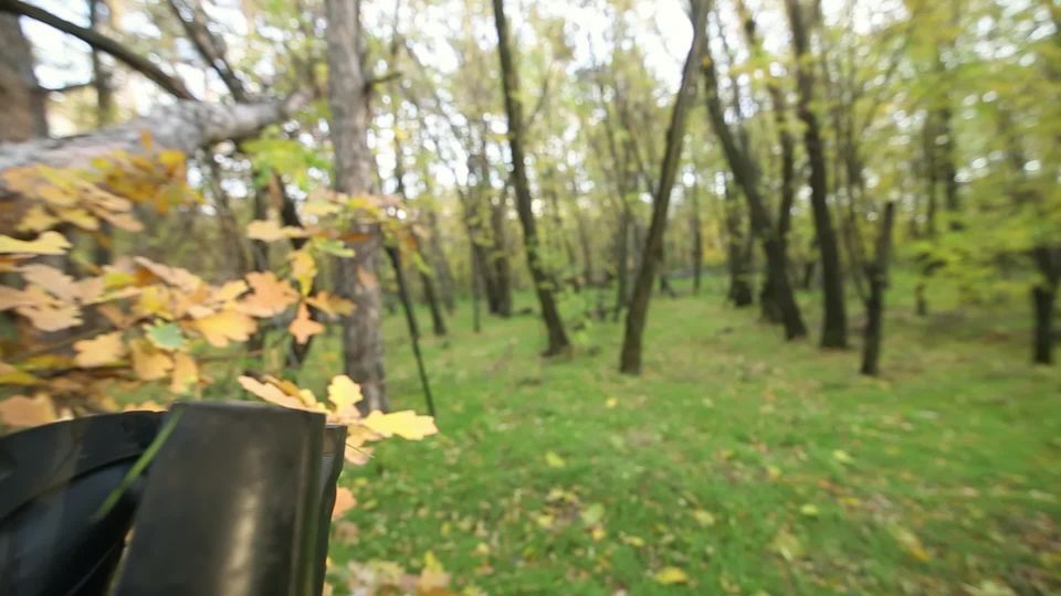 Pública chupan N mierda al aire libre Creampie 1080p