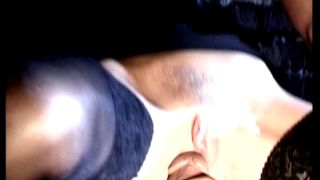 Helen Duval - Dream Catcher (1)(Version 1)