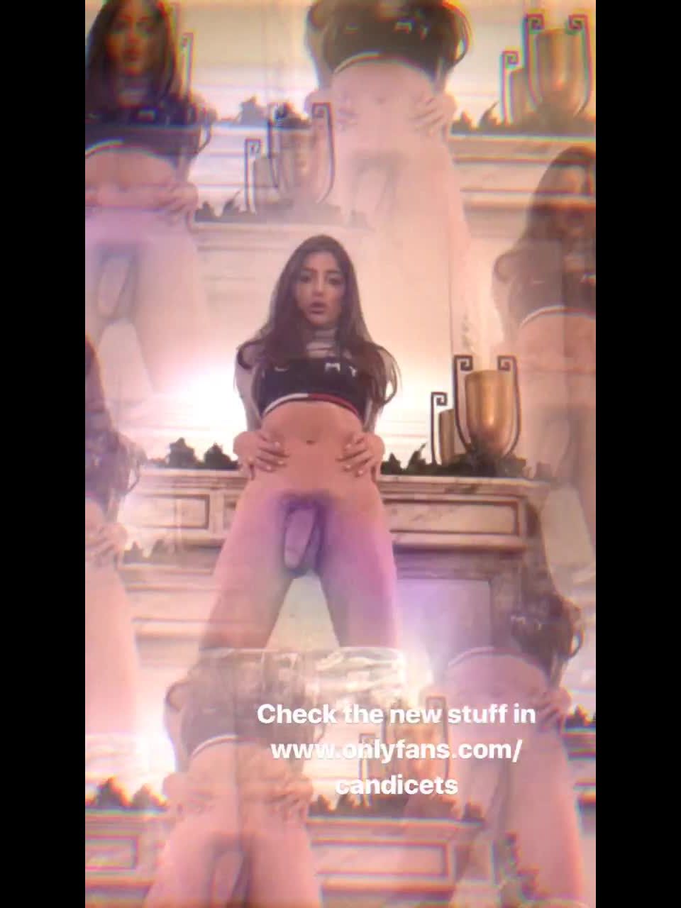 online clip 24  shemale porn | Ts Candice 2808 – 31 | shemale and gay