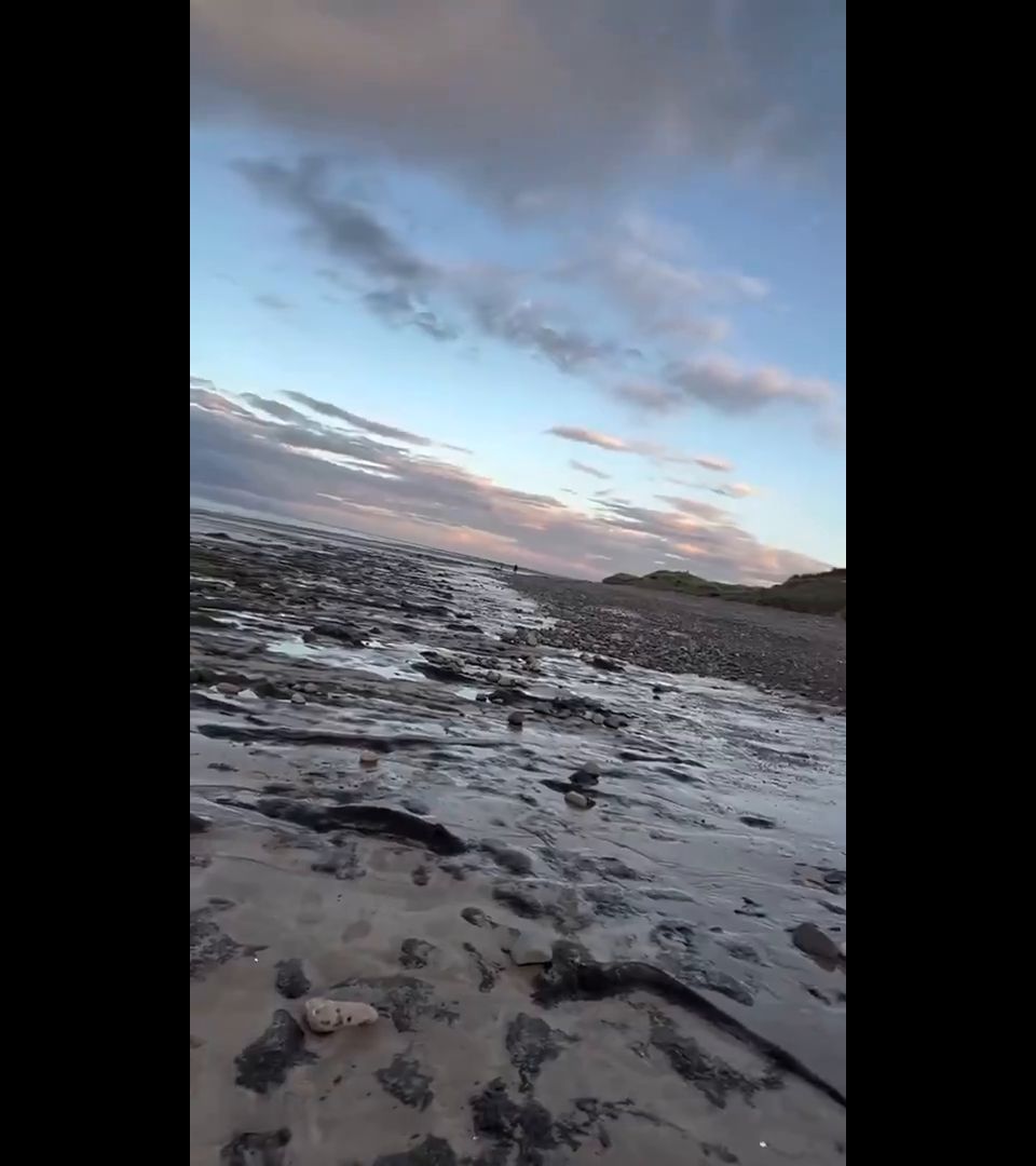 Pública Reino Unido Playa sopla por Anuskatzz SD 608P Amateur 2025