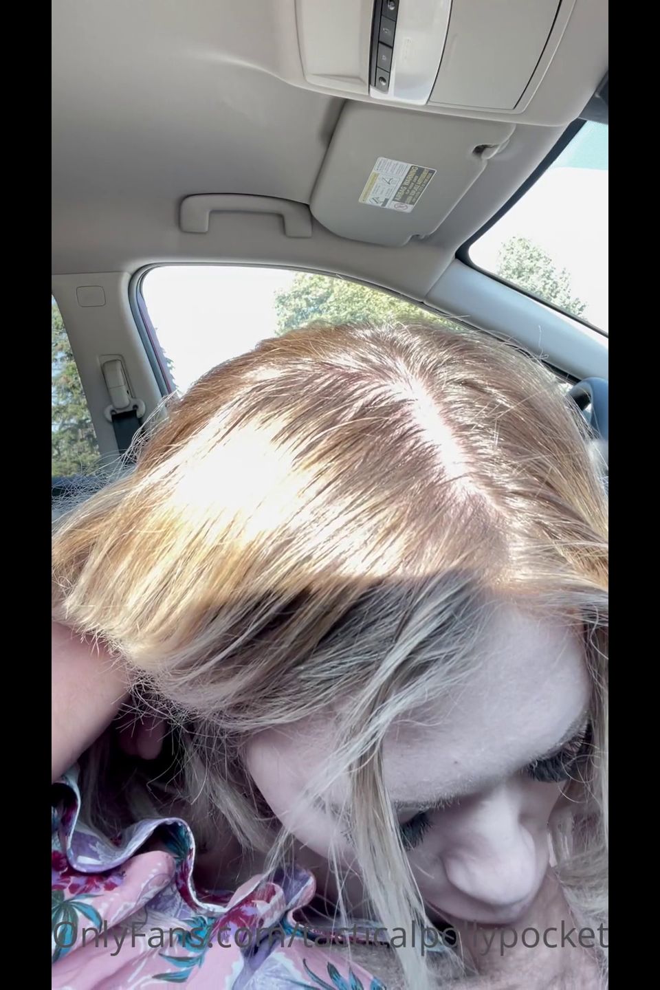 Valkyrie Untamed Sucking Cock In The Car With Cumshot Onlyfans (Amateur porn)