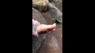 online porn clip 16 bowdown2chelsea 29-09-2019 You don t even like feet but you on femdom porn daphne rosen femdom