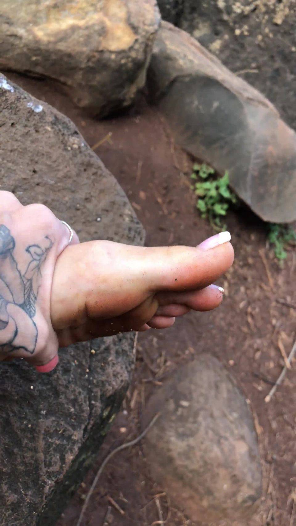 online porn clip 16 bowdown2chelsea 29-09-2019 You don t even like feet but you on femdom porn daphne rosen femdom