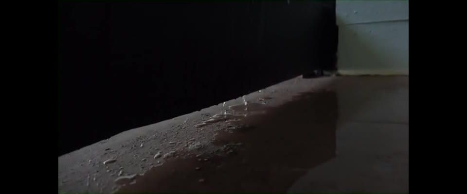 online adult video 28 My Whore Life #9 | one-on-one | fetish porn hentai furry big ass