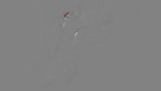 Alina Rose TEEN ESCUELA Profesora de Pantihose Tease y Manojob su estudiante