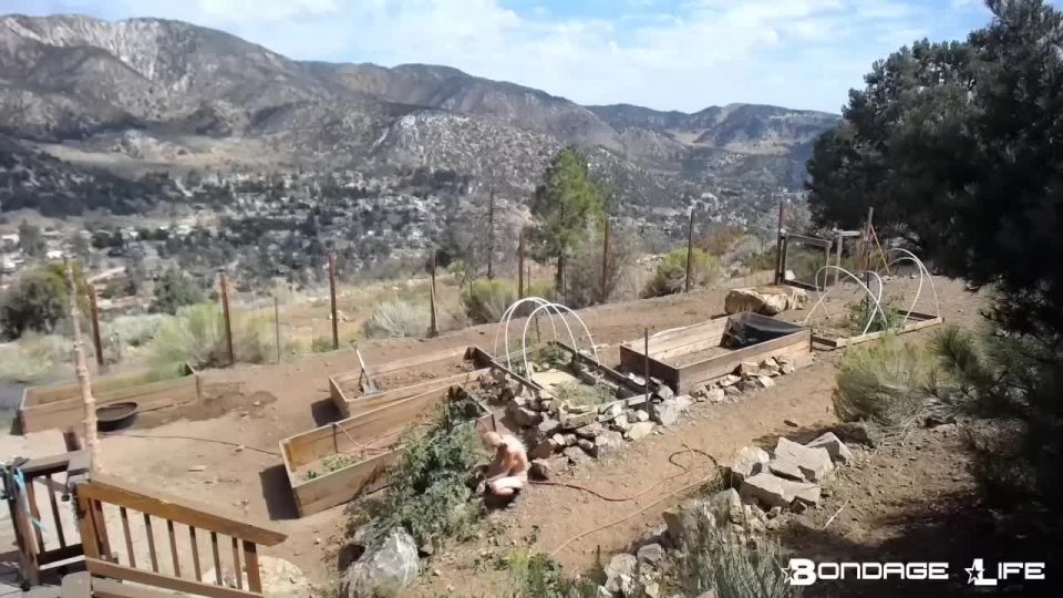 free online video 19 Yardwork With Greyhound | bondage | fetish porn dp anal bdsm