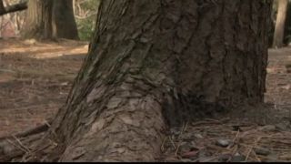 [supermisses.com] ZATS-36 燃えるアクションスーパーヒロイン歴～特別捜査官JK Rinne内出奈津美 Natsumi Uchide