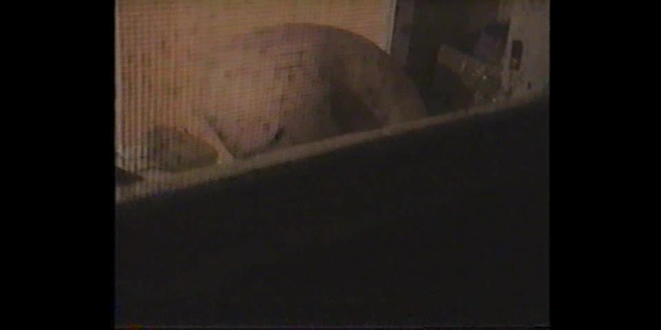 flyscreen_voyeur_video