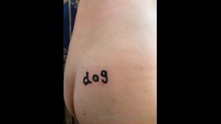 adult xxx video 6 princess beverly femdom Today’s Training Movie – Dog – MISTRESS UN, mistress un on femdom porn