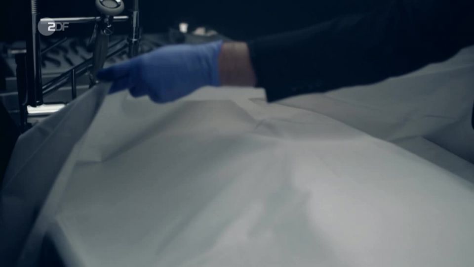 Marie Ronnebeck – Professor T. s01e04 (2017) HD 720p - (Celebrity porn)