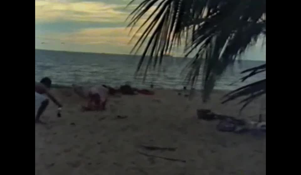 Wara 09: Geschlitzte Orchideen (1970’s)(Vintage)