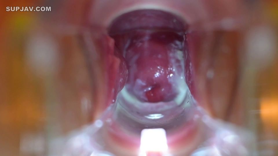 FC2PPV 4179717 ZIP特典有【無】美◯女 地下アイドル スレンダー ひな 20歳 セクシーコスプレで正常位で中出し お掃除フェラ有 14作品目【サカイ】