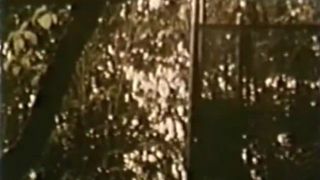 Swedish Erotica 1108: Up My Hill (1978)!!!