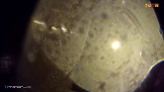 Evolution 2 Todo demasiado lindo [Phantom Pool Edition No.018] mabf018 00, en voyeur