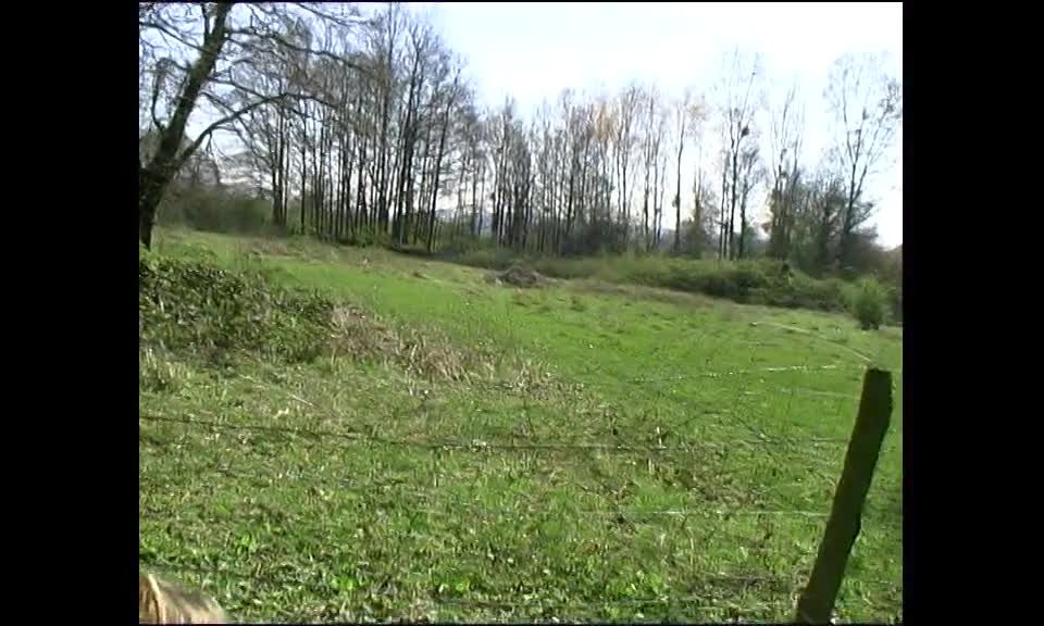 LaFRANCEaPOIL (22) (mp4)