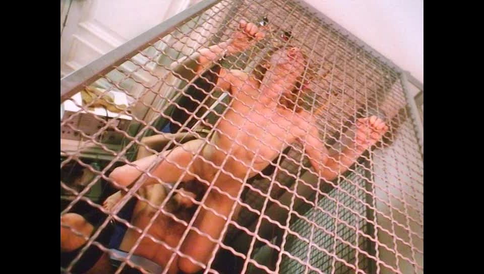 7230 Hotel Pour Jeunes Filles 1980 Retro, Vintage, Classic