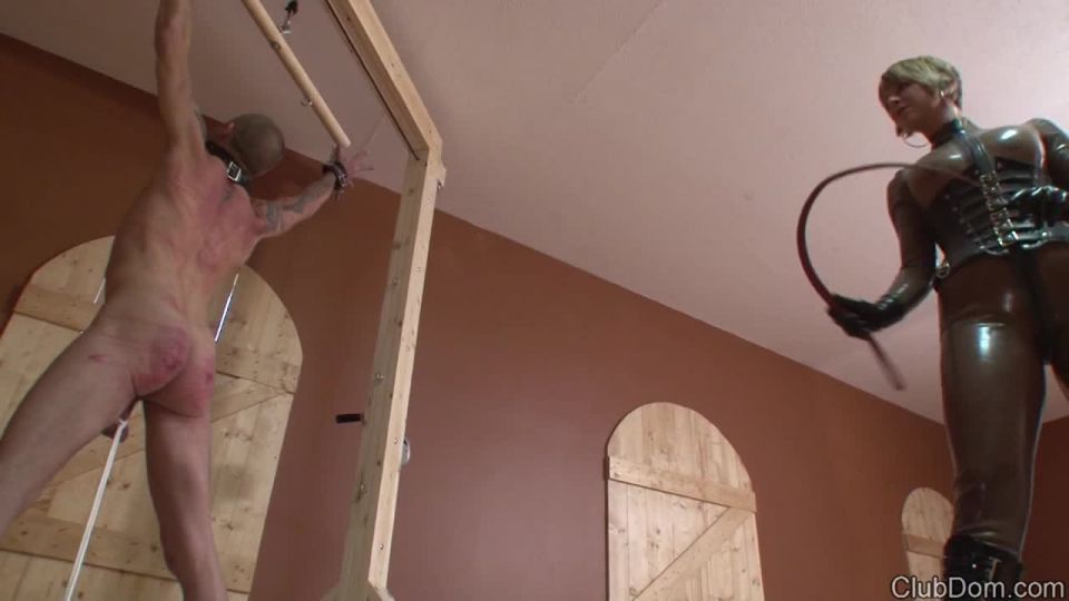 free adult clip 36 Goddess s Whipping Bitch Goddess Brianna - fetish - bdsm porn best fetish porn