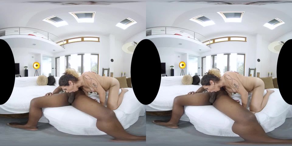 free video 4 shemales / shemale porn / 