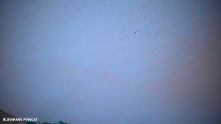 bluesharkpinkcat - UNCUT - 9 Month Pregnant Asian Girl Sex in the garden