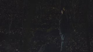 Shenae Grimes - The Rake (2018) HD 1080p - (Celebrity porn)