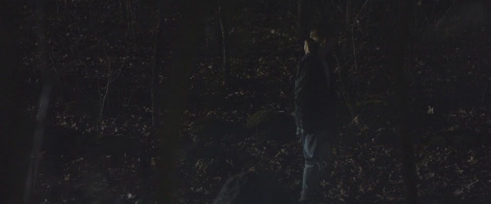 Shenae Grimes - The Rake (2018) HD 1080p - (Celebrity porn)