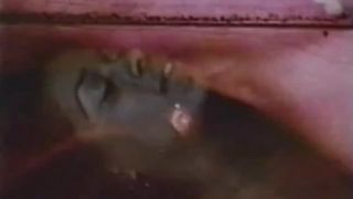 Colección de diamantes 28 – Feliz Cumpleaños!!!