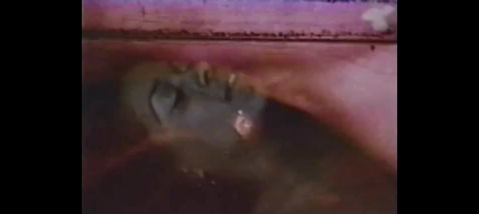 Colección de diamantes 28 – Feliz Cumpleaños!!!