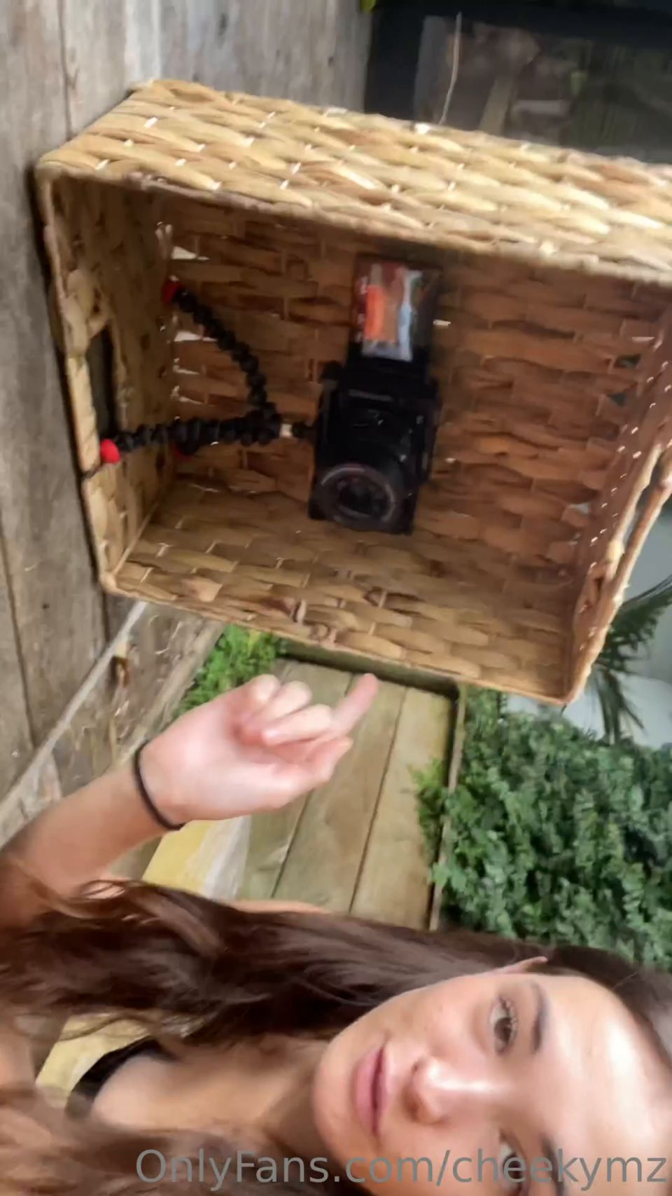 cheekymz 98b79127-6a11-425c-8c6e-d6717691bcbe-TIU5fC1V