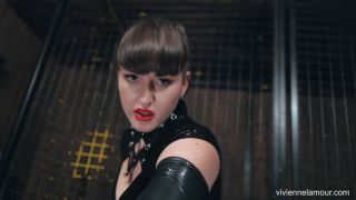 Your new life as my slave -  domination