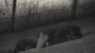 free xxx video 42 Spy Camera And Night Fuck on hardcore porn hentai world porn