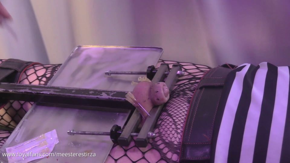   Femdom  LoyalFans: Mistress Tirza - Cbt with piercings bondage and push up the nipples  Femdom