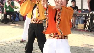 Voyeur Performance 16 - 15311756 | voyeur | voyeur 