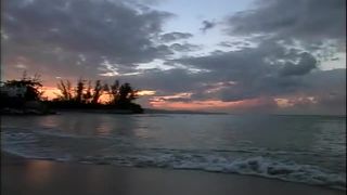 adult xxx video 1 Ivy Manor #3: Tropical Submission, Scene 2 - submission - fetish porn smoking fetish pornhub