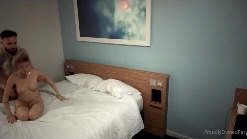 PSICHOTHERILLERSFILMS - Ashley Lanedeproudlywrightedpet-01-11-2021