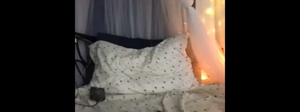 Online Tube Shemale Webcams Video for January 10, 2019 - shemales